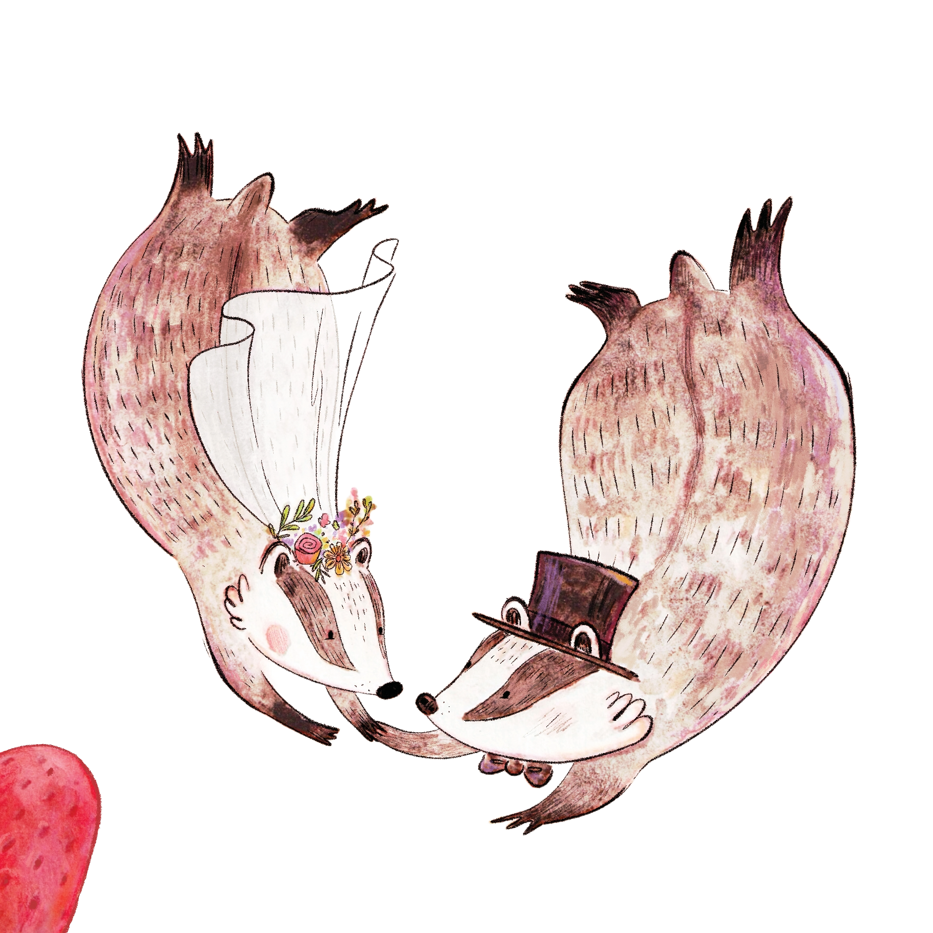 Two Badgers in wedding outfits